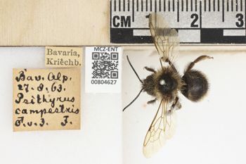 Media type: image;   Entomology 804627 Aspect: labels